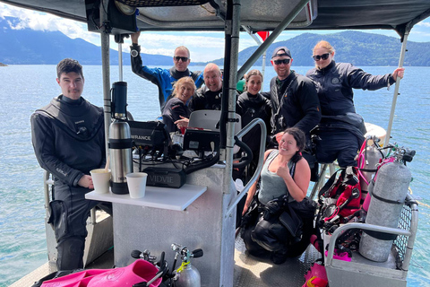 Snorkel Focas Remando Vida Salvaje Tour en barco en Vancouver