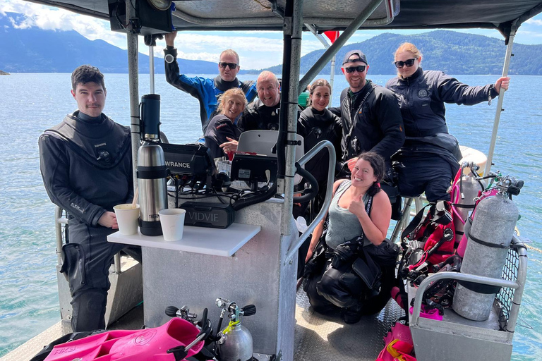 Snorkel Focas Remando Vida Salvaje Tour en barco en Vancouver