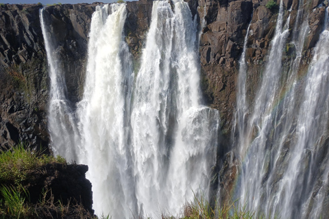 Victoria Falls: Zambezi River Cruise and Rhino Encounter