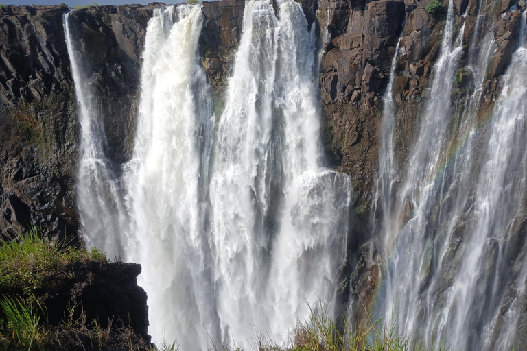Victoria Falls: Zambezi River Cruise and Rhino Encounter