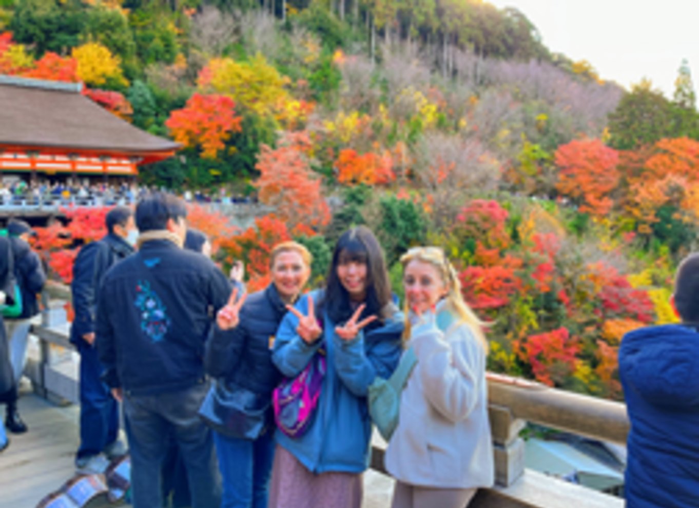 Kyoto: Heldagstur med de bedste UNESCO- og historiske steder