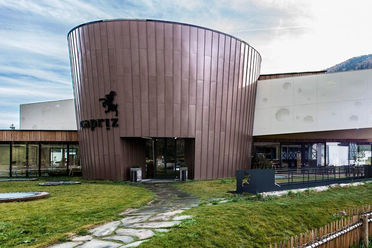 Capriz: Museum Ticket, Insight into Cheese Making, and Interactive Exhibition
