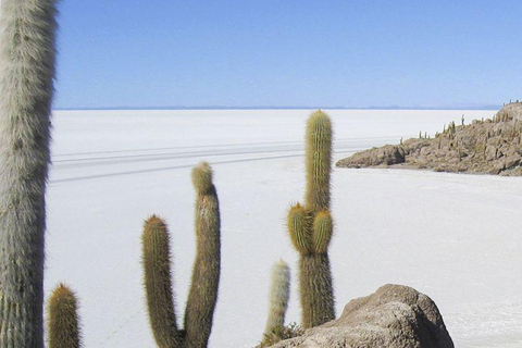 PROGRAMME 3D/2N UYUNI - SAN PEDRO DE ATACAMA SERVICE PARTAGÉ