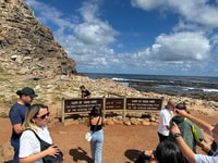 Tour privado, Cape Point, Penguin Beach, Chapmans Peak &more - Hizvo