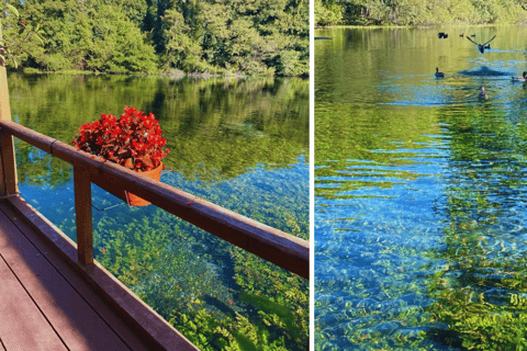 De Tirana/Durres: Lago Ohrid na Macedônia do Norte e Albânia