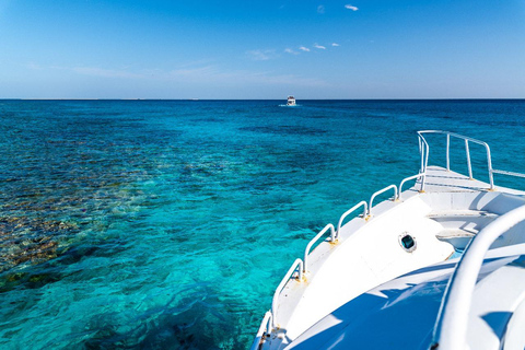 Sharm El Sheikh : Ras Mohamed et l&#039;île blanche avec déjeuner