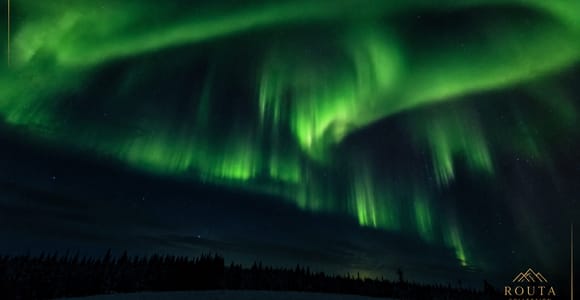 Levi: Northern Lights Hunt & Arctic Night Experience