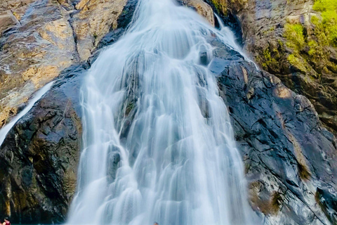 Circuit d&#039;une journée à la cascade de Dudhsagar et à la plantation d&#039;épices SIC