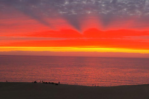 Departing from Agadir or Taghazout: Timlalin Dunes and Taghazout Tour