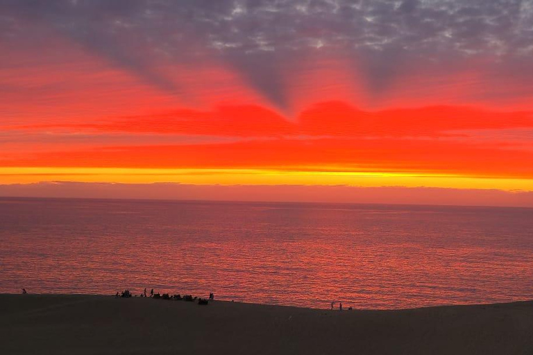 Departing from Agadir or Taghazout: Timlalin Dunes and Taghazout Tour