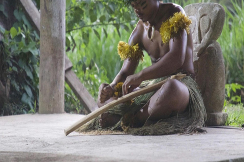 Fidżi: wieczorna wycieczka po wiosce z kolacją i show