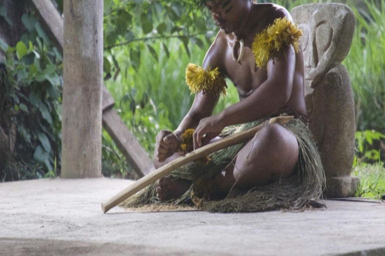 Fidżi: wieczorna wycieczka po wiosce z kolacją i show