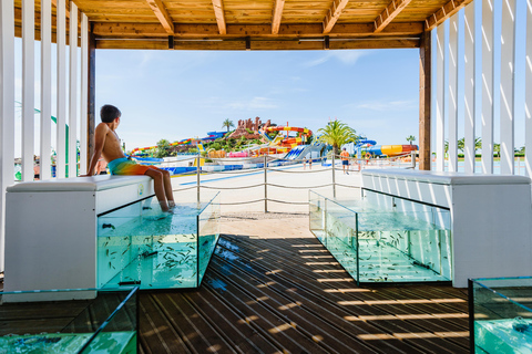 Lagoa: Slide & Splash Water Park Entrance Ticket