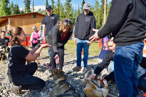 Fairbanks: Summer Dog Mushing Tour with Alaskan Huskies