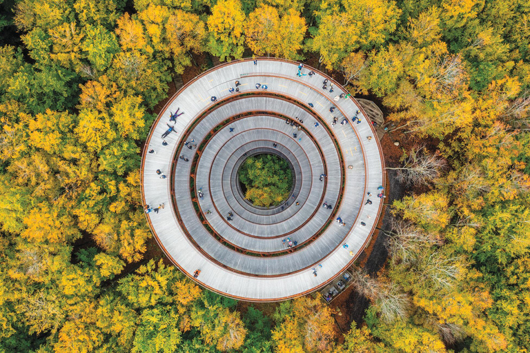 Tour del sito UNESCO di Stevns Klint e della torre della foresta da Copenaghen