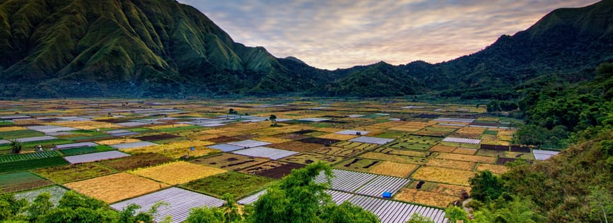 Visite luxueuse de la cascade de Sendang Gila, de la cascade de Tiu Kelep et de la colline de Selong