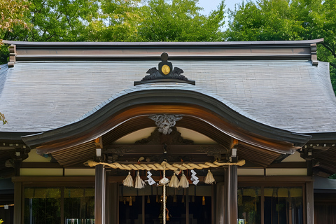 Tokyo: Nikko National Park Private Tour Hotel Pickup & Drop