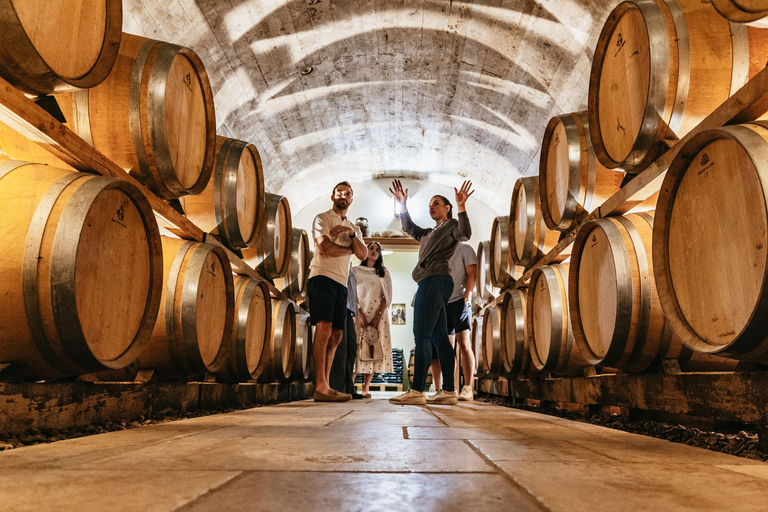 From Paris: Private Sancerre Wine Tour w 10 Tastings & Lunch