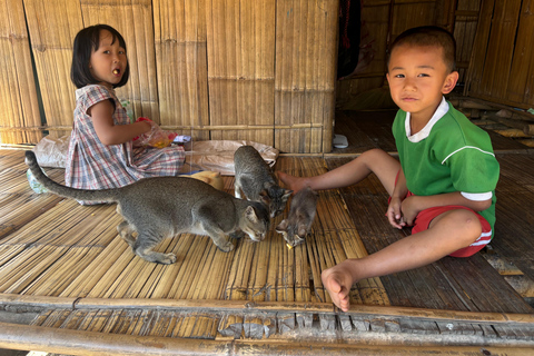 Chiang Rai: Popular Sightseeing Tour 7 places , Buffet Lunch Chiang Rai: Popular Sightseeing Tour 7 places ,Buffet Lunch