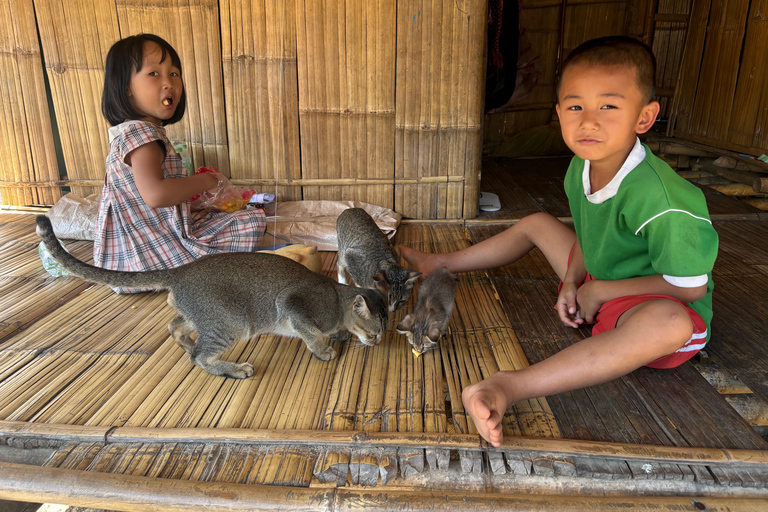 Chiang Rai: Popular Sightseeing Tour 7 places , Buffet Lunch Chiang Rai: Popular Sightseeing Tour 7 places ,Buffet Lunch