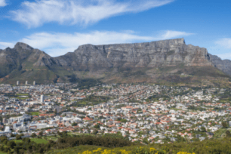 Cape Town: Private Half Day City Tour