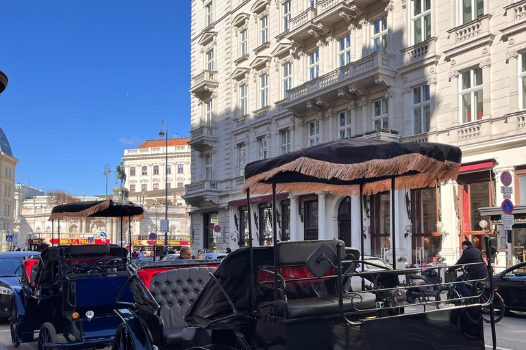 Vienna: Royal E-Carriage Sightseeing Tour incl. Prosecco60 min. Private Royal E-Carriage Tour with drinks