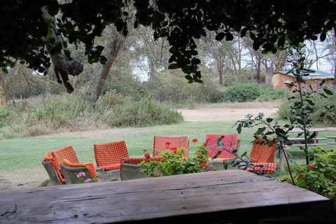 From Nairobi: Naivasha Wellness Retreat with Nature Walks