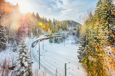 Luzern-Interlaken Express: One-Way TicketEinzelfahrt von Luzern nach Interlaken (2. Klasse)