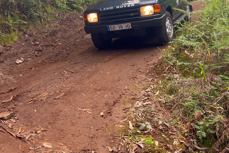 Madera: wycieczka jeepem z tyrolką, huśtawką i wulkanicznymi basenamiMadera: wycieczka jeepem z tyrolką, huśtawką i basenami wulkanicznymi