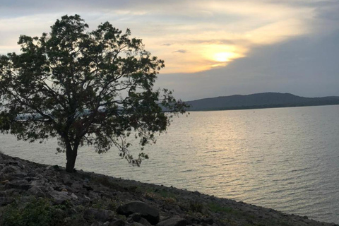 Kandy to Sigiriya Drop: Covering 6+ Attractions by Local