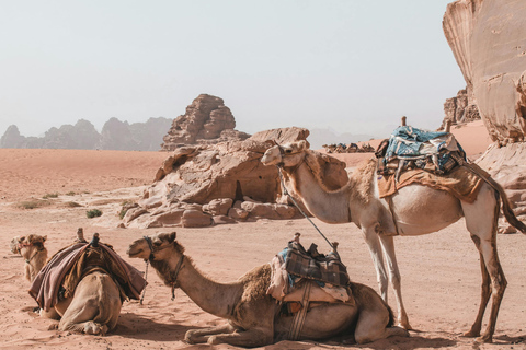 One day private tour from Aqaba to Wadi Rum site Transfer by Mini Van - up to 6 person