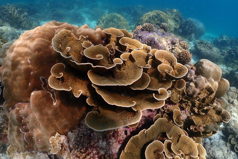 Phuket: wycieczka motorówką na wyspy Racha z nurkowaniem i lunchem