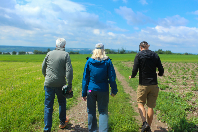 Quebec City - Agricultural Walking Tour on Ile d&#039;OrléansAgricultural Walking Tours - Unique Flavor of the Island