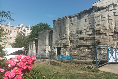 Vienne: tour guiado particular com guia oficial!4 horas, incluindo teatro e sítio arqueológico