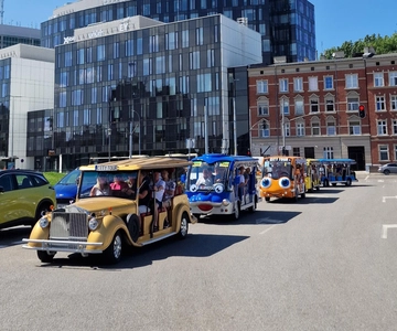 Gdansk: Delt eller privat bytur med golfbil