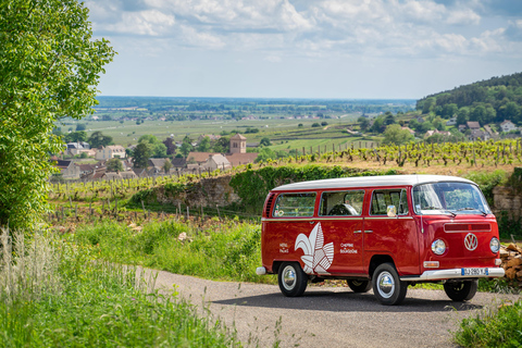 Dijon : visite de la Bourgogne en petit groupe à bord d&#039;un combi vintageDijon : visite de la Bourgogne en petit groupe à bord d&#039;un van vintage