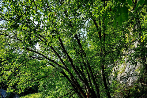 Zagreb: Plitvice Lakes & Rastoke Watermill Village Day Tour