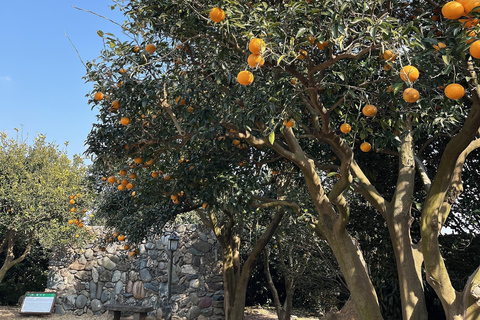 Jeju: Spirited Garden Entry Ticket