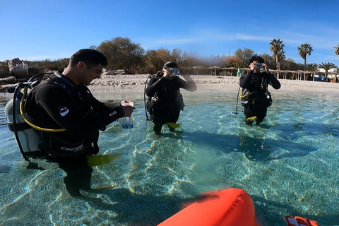 Costa este de Atenas: descubra el buceo en Nea MakriCosta este de Atenas: descubre el buceo en Nea Makri