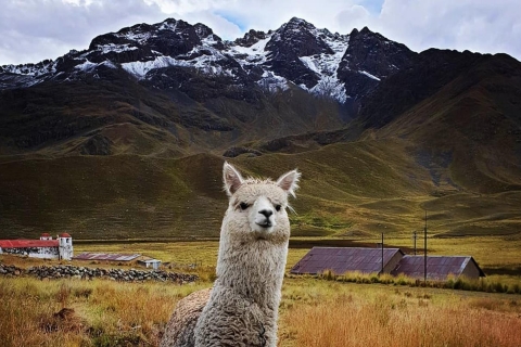 Die Route der Sonne: Busreise von Cusco nach Puno mit Zwischenstopps
