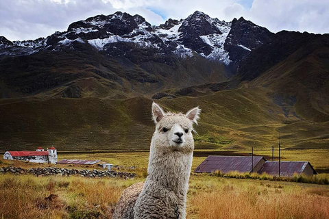 REIS VAN PUNO NAAR CUSCO MET DE ROUTE VAN DE ZON