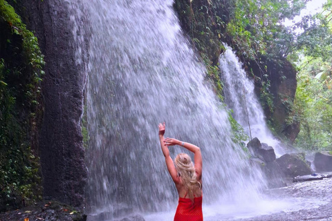 Alas Tirta: Bali Swing, Zipline & Hidden Waterfall - Ubud One Swing Package