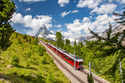 Tour particular de Zurique a Grindelwald, Interlaken e vice-versa