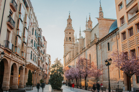 Logroño: Private Guided Tour