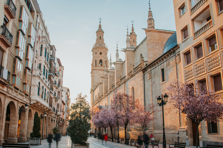 Logroño: Private Guided Tour