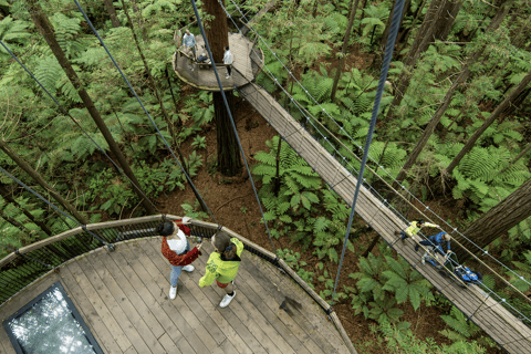 Rotorua: Lake Tarawera, Redwoods & Hot Tubs Tour