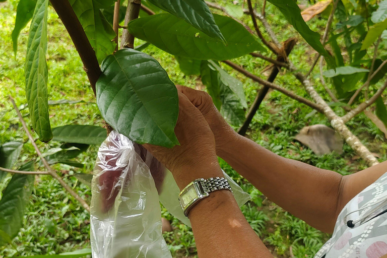 Puerto Maldonado: Amazonian Cacao Experience with Boat Ride