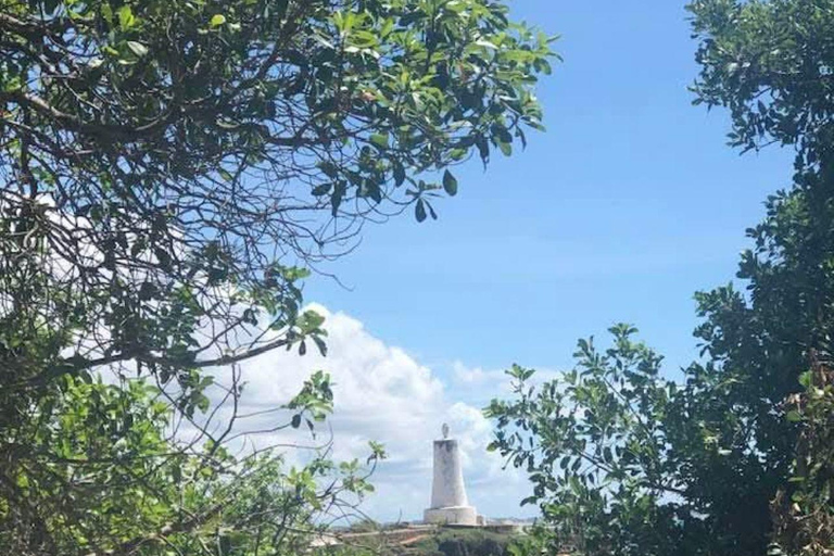 Mombasa/Diani: Day tour to Malindi town and Gede Ruins Malindi: City tour and Gede Ruins