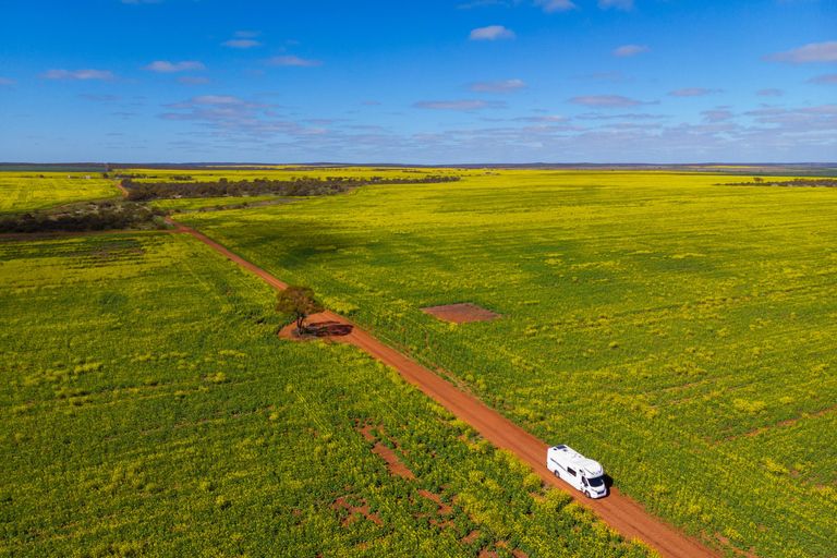 From Perth: Australian Animal Night Safari