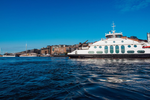 Oslo Old Town Walking Tour and Fjord Cruise Tickets